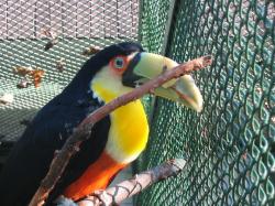 zoo bojnice-m.jpg zoo bojnice-m.jpg